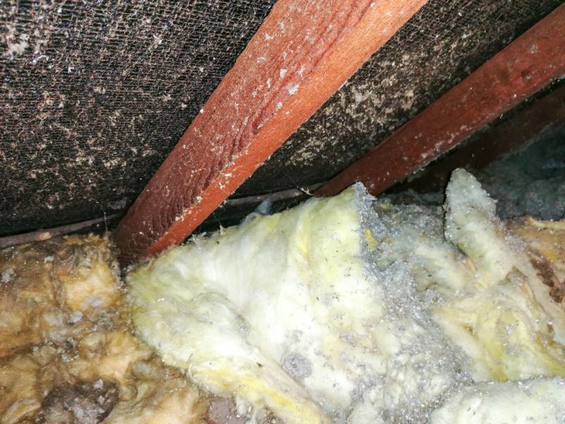 Old Insulation Removal