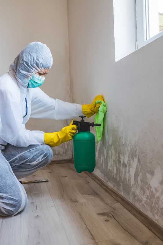 Mold-Contaminated Insulation